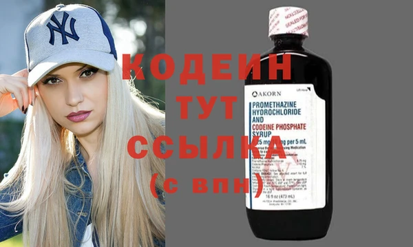 шишки Кодинск