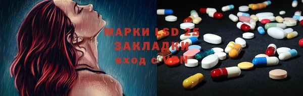шишки Кодинск