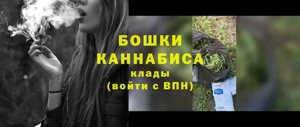 шишки Кодинск