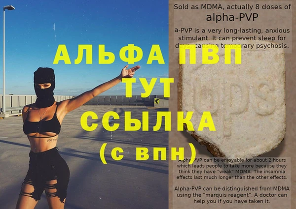 шишки Кодинск