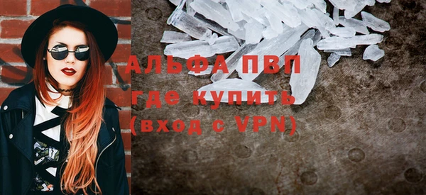 шишки Кодинск
