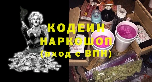шишки Кодинск