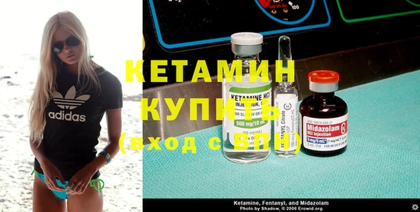 шишки Кодинск