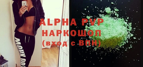 шишки Кодинск